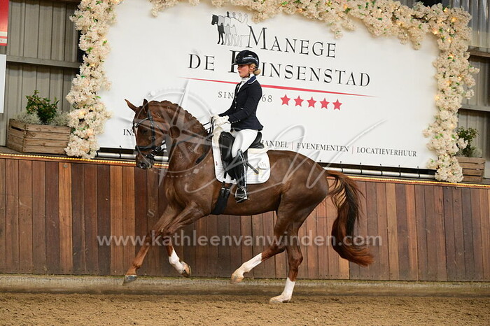 Rosa Vlaar - Sirabel DH