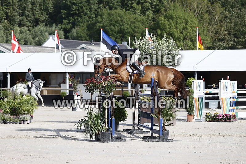 dennis van den brink