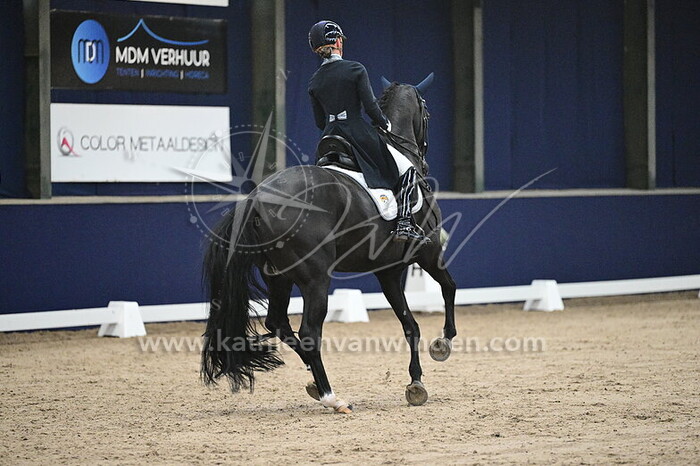 Kim Noordijk - Kingston Vienna D