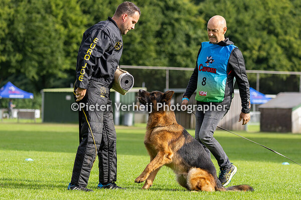 8 Kaos di Casa Massarelli  PW