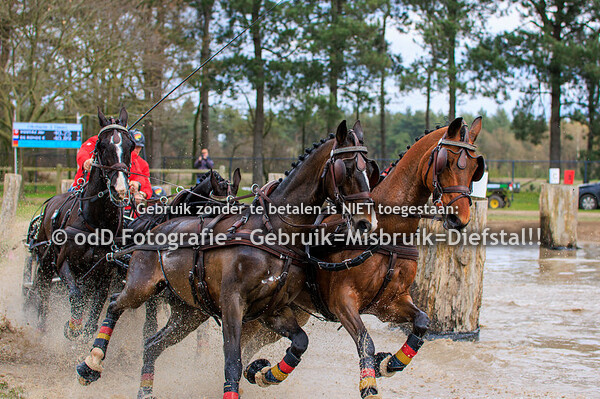 Horse Driving Kronenberg Marathon CAI3*H4 15-04-23