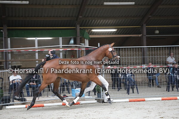 68 Magic Lady (Florencio x Biona v. Flemmingh)