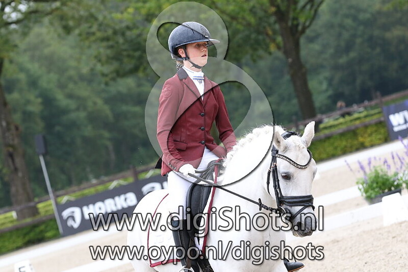 Ring 4 Klasse M1 cat ABC