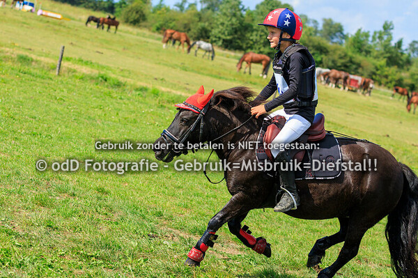 SGW Geestmerambacht Paard BB Pony B 11-08-24