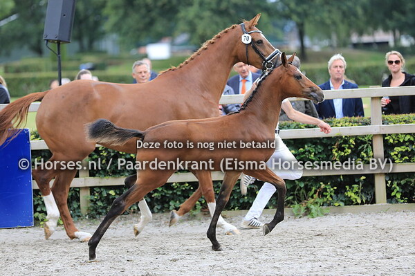 70 Odamora L v Ghandi