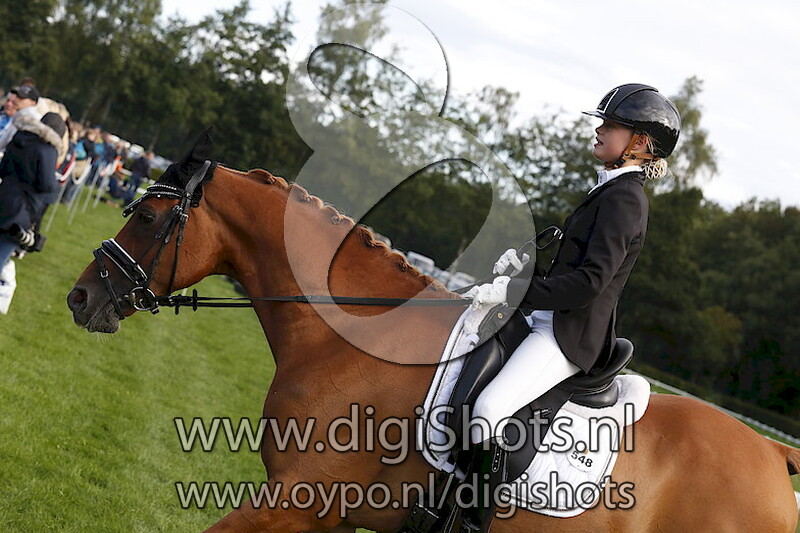 Ring 9 Dressuur L2 cat DE