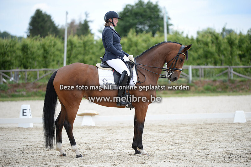 Oefendressuur Gravenhof 07/06