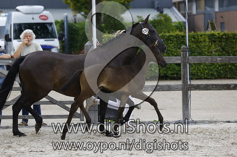 Totally Black DBD v. Mauro Turfhorst