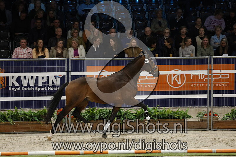 Rio Taonga v. Masterpiece - 482