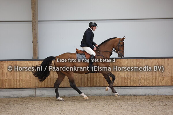 16 Ravello vd Hagenhorst (Dourkan Hero x Denzel van't Meulenhof)