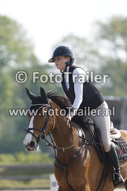 chloe in het veld