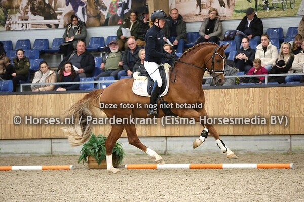 06-12-2025 KWPN VO dressuur najaar