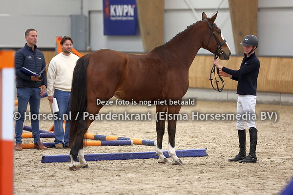 2 Paroma (Kannan x Famona v. Numero Uno)