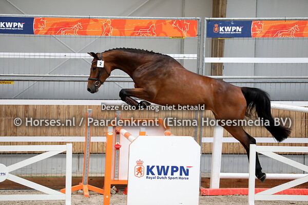 17-06-2023 CK JongKWPN