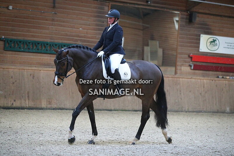 PV Midland Dressuur 19-01-2025 14.30 uur