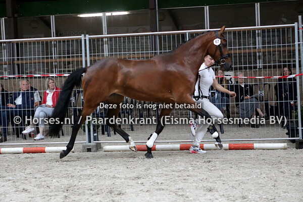 67 Miranza (Ferguson x Esperanza v. Jazz)