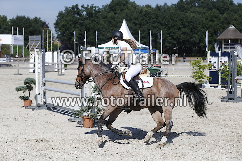 Demi kattenpoel oude Heerink
