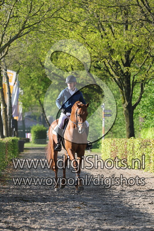 VDL Sambucci de Muze