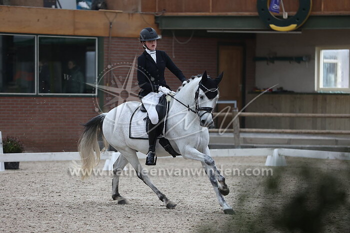 Femke van Roij - Blue Moon van het Montferland