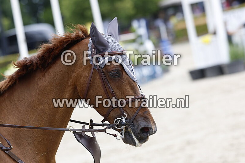 stefanie ribas da costa