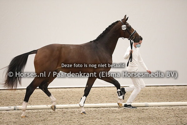 526 Just Wimphof x Flemmingh