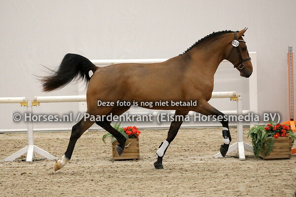 03-12-2020 1e bez KWPN Geldersen