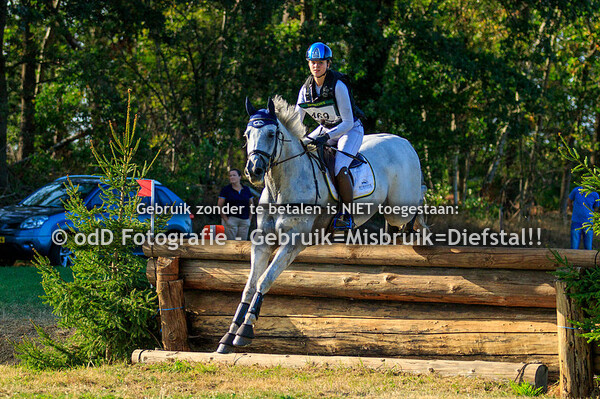 Achterhoeks Hippisch Festijn, Varsseveld 19-09-20