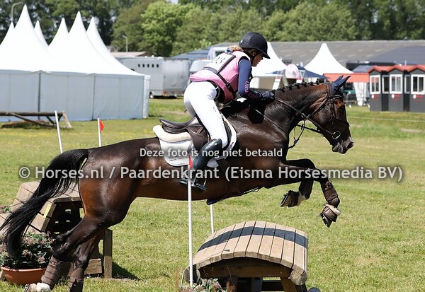 503 Jackpower (Starpower x Singapore x Glennridge) Elsemiek van Roekel