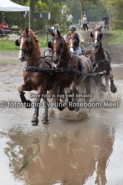 NK mennen Exloo 17-9-2023 - 2PA-M + 4PA-L/M + 4PO-M 