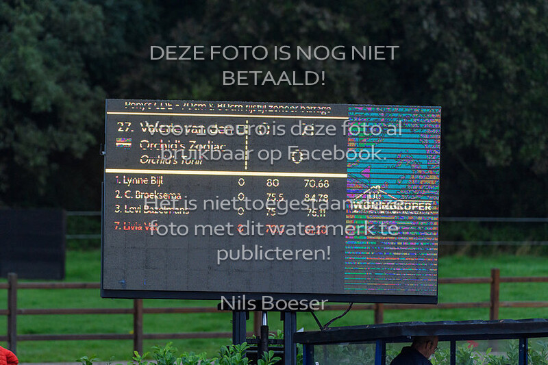 1 Ponys Klasse 70-80cm