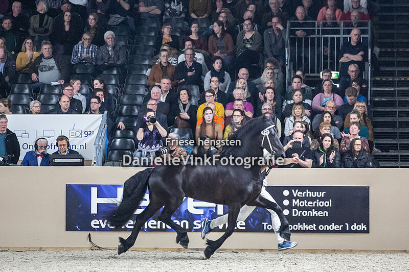 Hengstenkeuring 2020 Markus 491