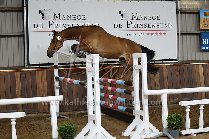 Peaky Blinder van de Prinsenstad