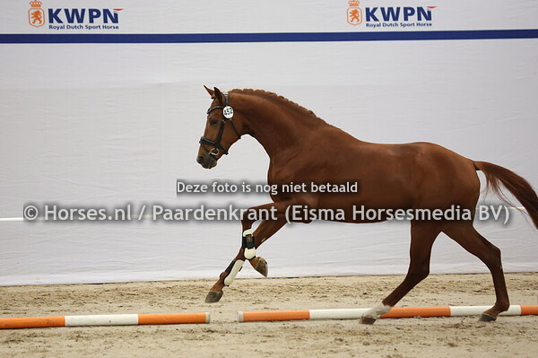 452 (Morricone x Dream Boy)