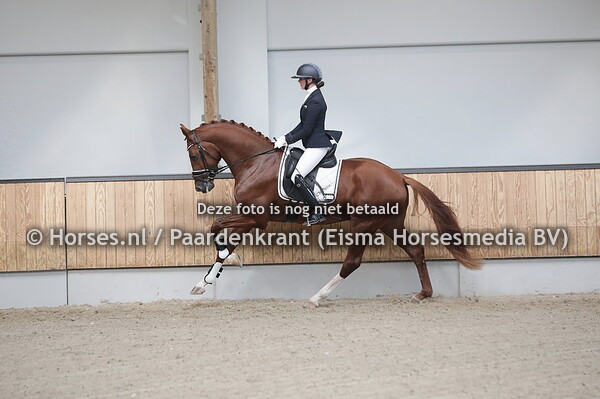 336 Oké HT (Dream Boy x Fioretta v. Uphill) (1)