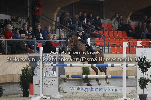 Amber van Marle, Zebrano v Zodiak