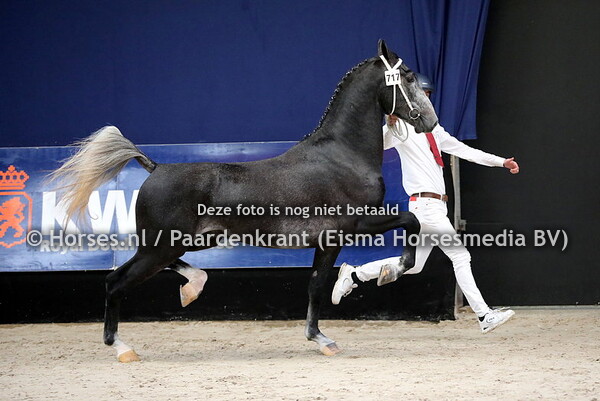 09-01-23 KWPN TP HK eerste bezichtiging