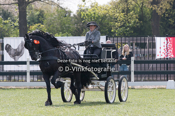 14. Damesklasse regionaal