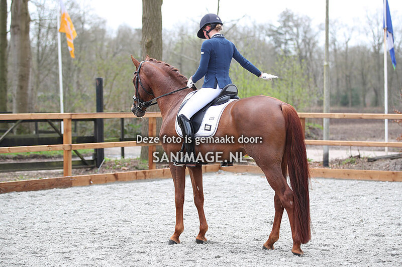 RC Henschoten Dressuur 10-04-2023 11.20 - 13.00 uur