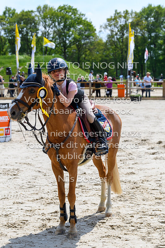 S17 Springen AB 70cm