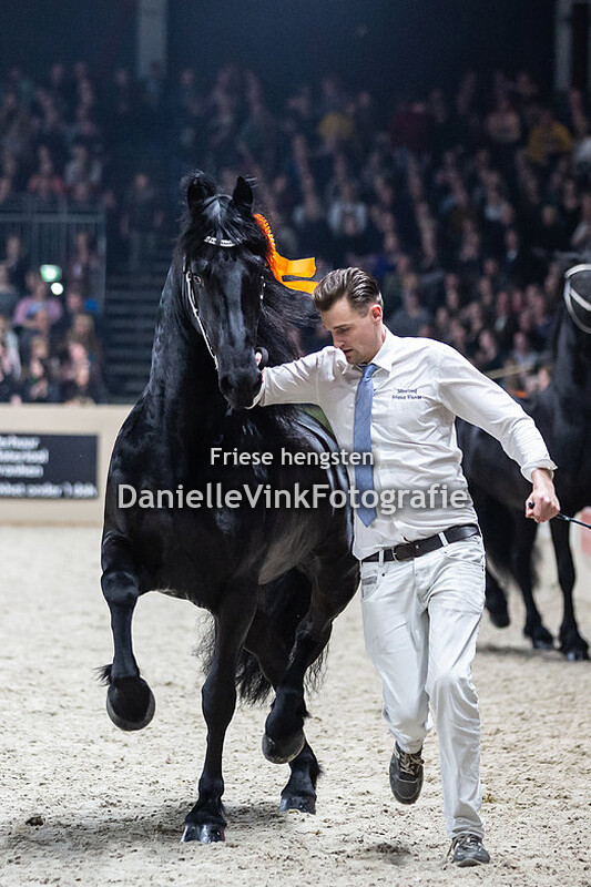 Hengstenkeuring 2020 Waander 512