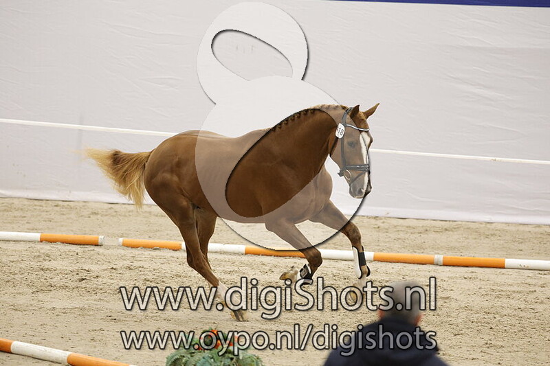 So Dance v. Las Vegas