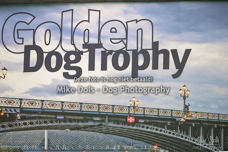 Golden Dog Trophy 
