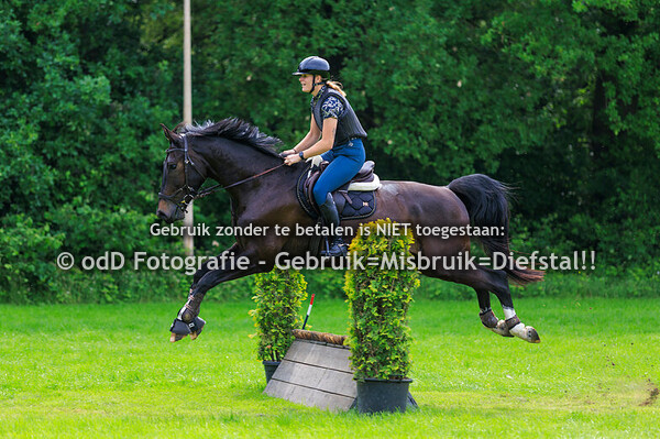 St Tunnis Hippisch Event Groep 3 10.30 31-05-25