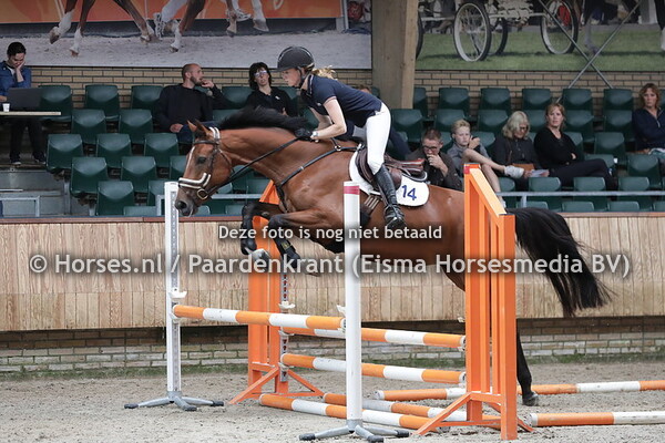 14  Mauludine Fan Dijkmaniastate (v. Eldorado vd Zeshoek x Zennaludine)