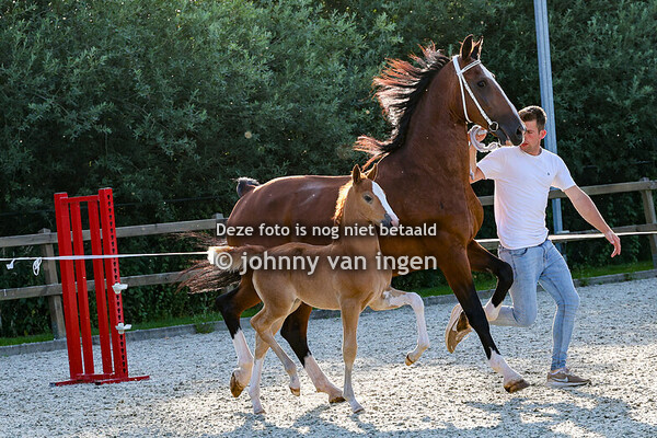 oefenavond Nunspeet 2025