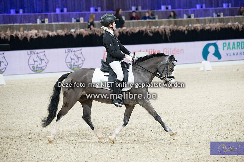KBC Gouden Teugel Dressuur