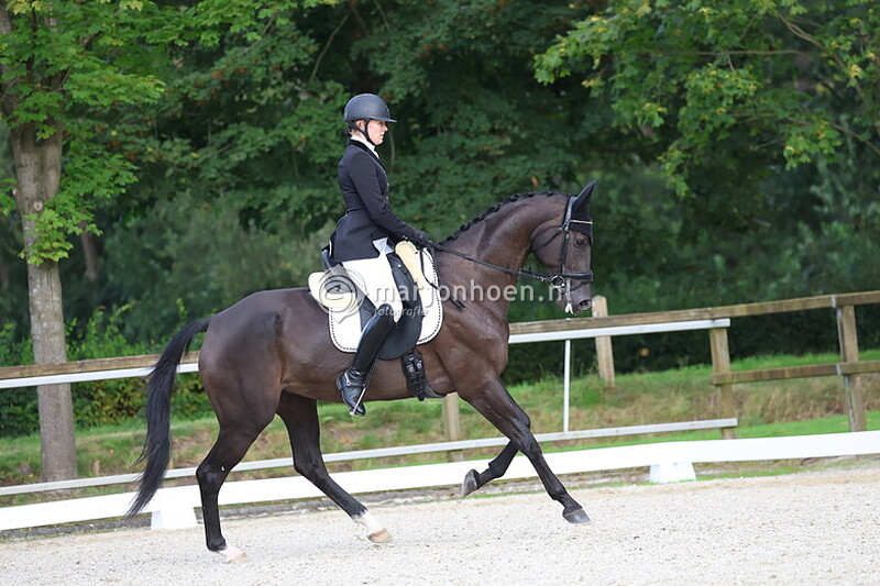 406_Z.STER_L-M_Z_vanaf12.00_14sept