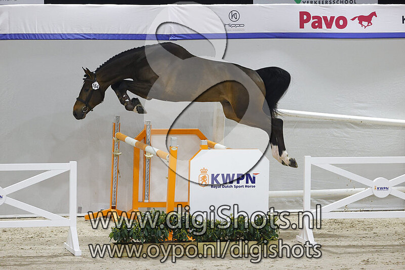 Sirocco Optimus v. Nixon van 't Meulenhof