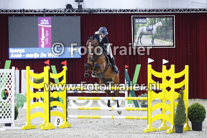 anke marije de vries