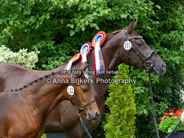 Sectie NWR keuring, 02-08-2025